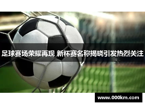 足球赛场荣耀再现 新杯赛名称揭晓引发热烈关注