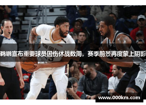 鹈鹕宣布重要球员因伤休战数周，赛季前景再度蒙上阴影