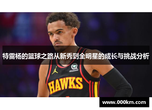 特雷杨的篮球之路从新秀到全明星的成长与挑战分析